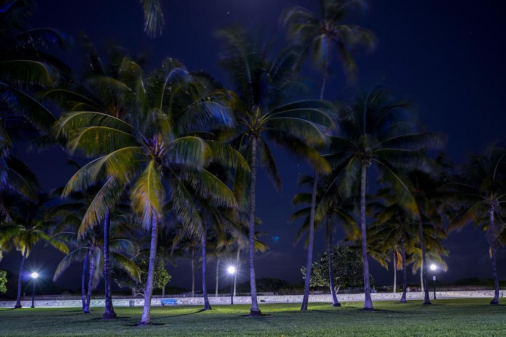 Hilton Vacation Club Crescent On South Beach Miami Маямі-Біч Екстер'єр фото